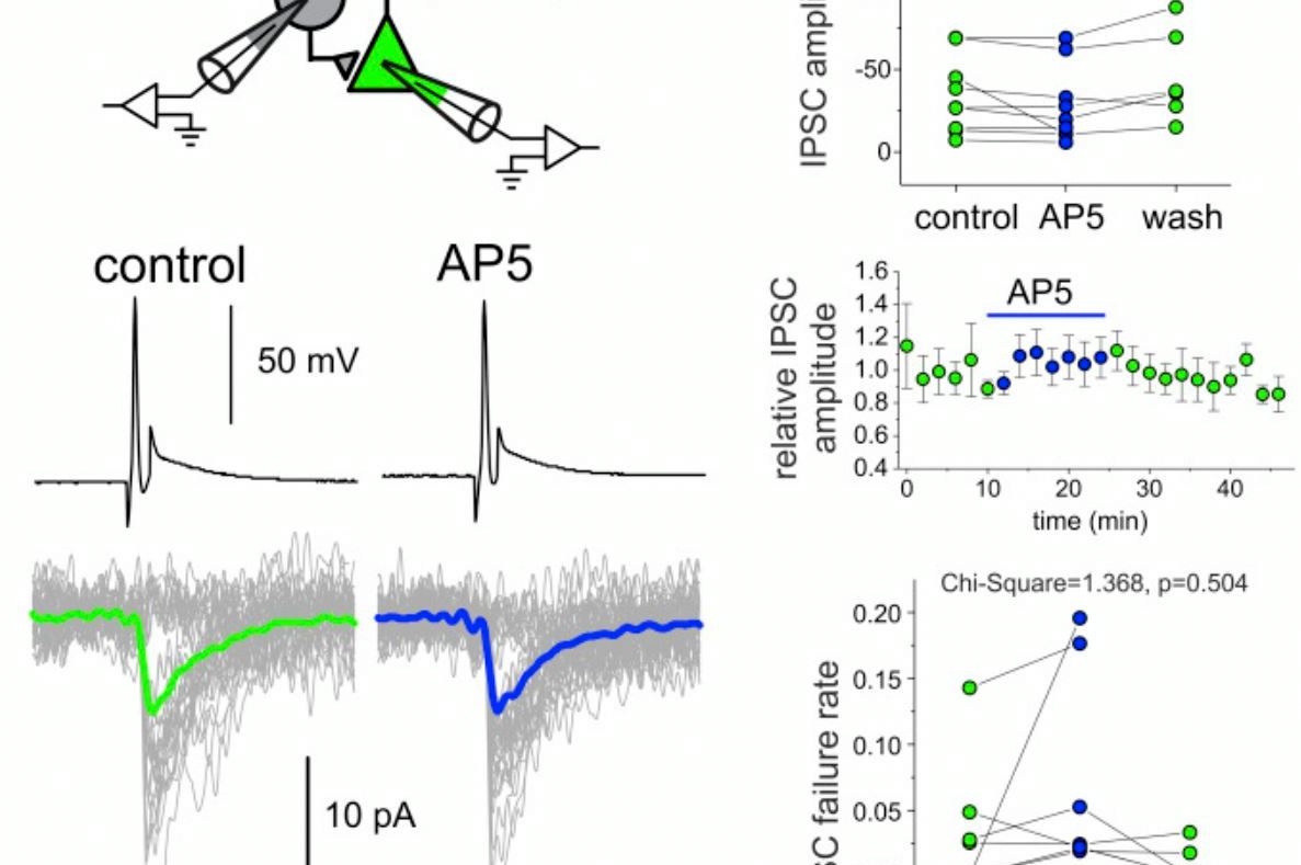 Gonzalez-Burgos and Colleagues Biol Psych 2018 Figure