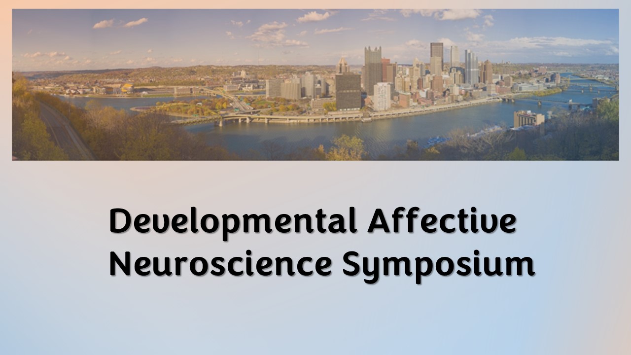 2023 Developmental Affective Neuroscience Symposium 