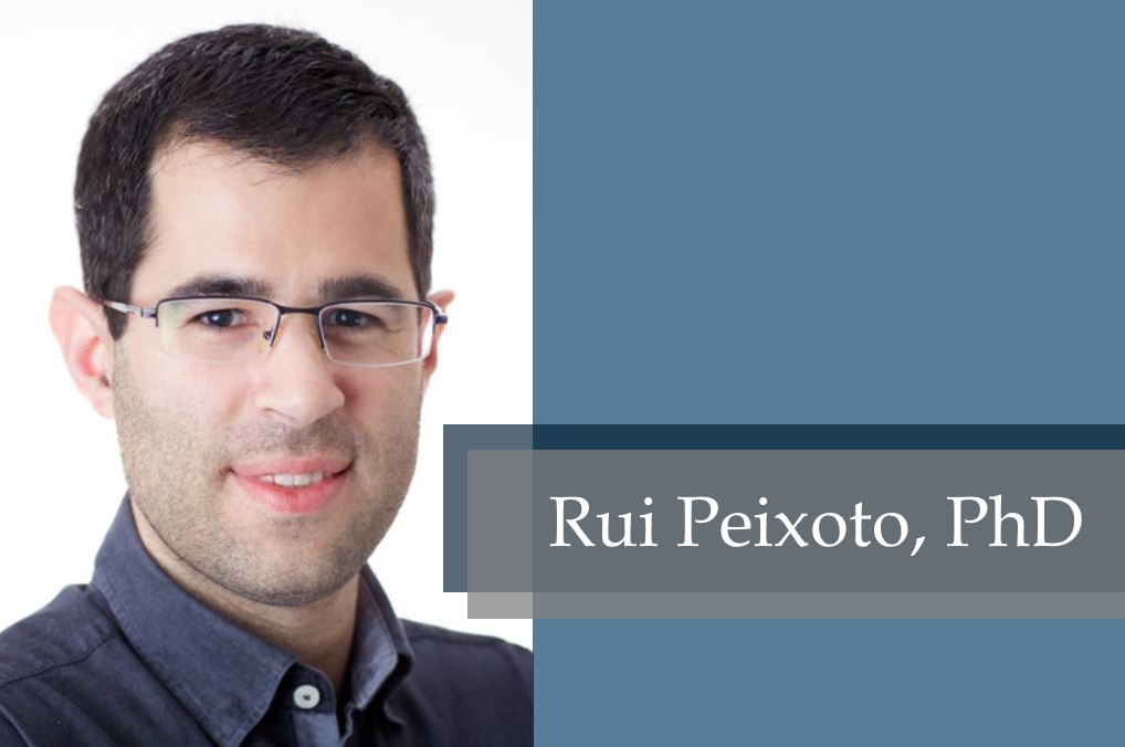 Dr. Rui Peixoto