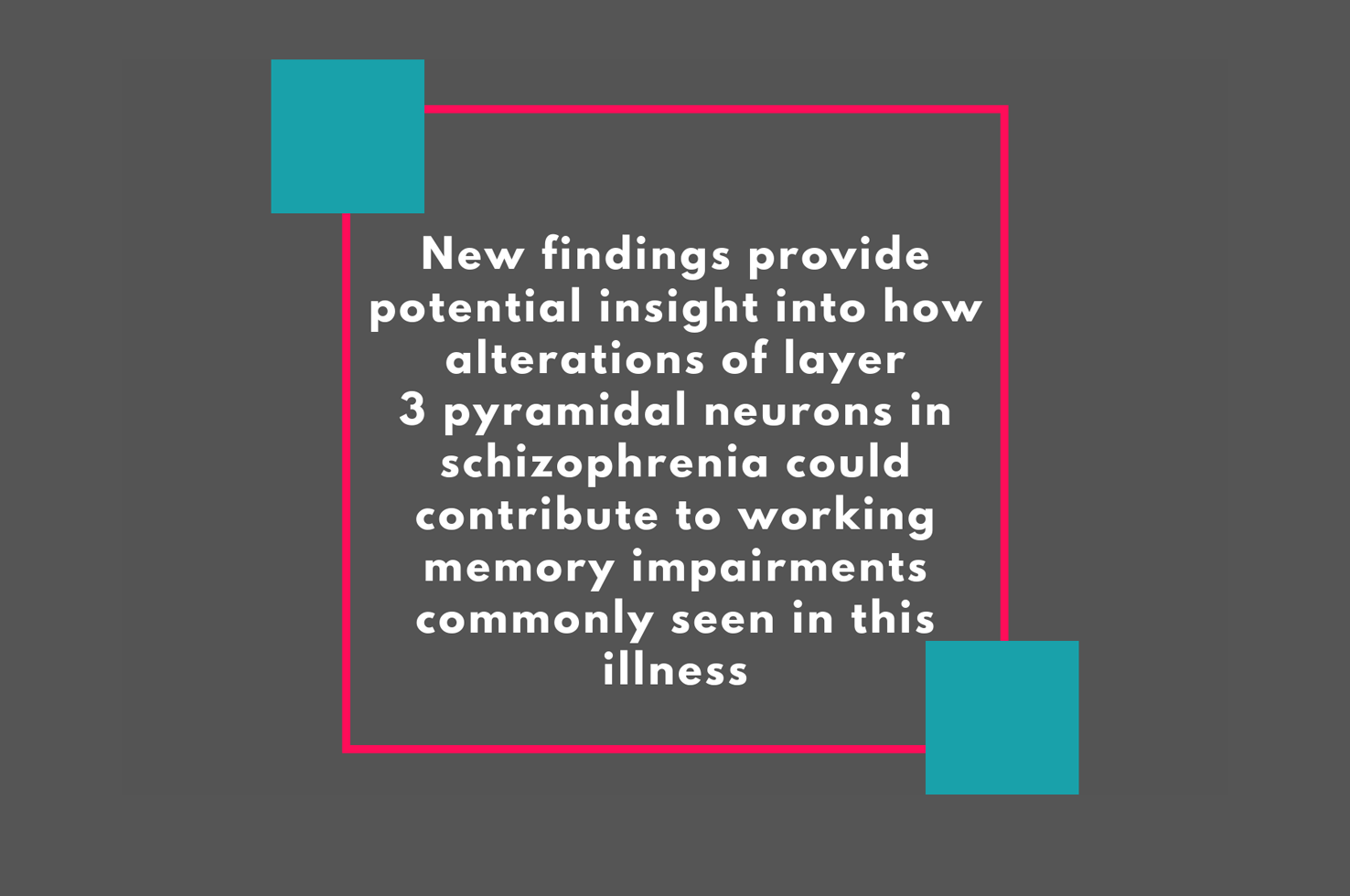 Gonzalez-Burgos et al. 2019 Journal of Neuroscience