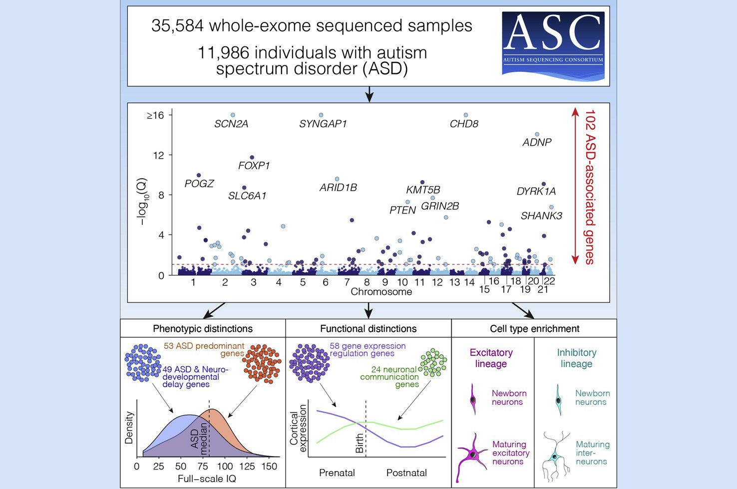 Devlin & Colleagues, Cell 2020