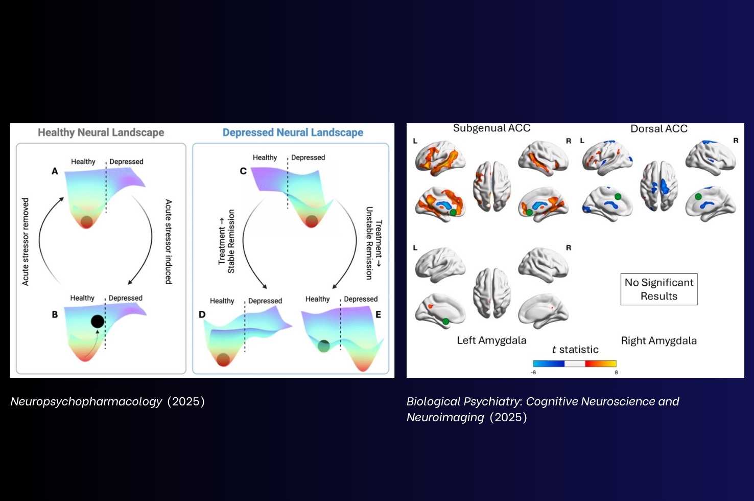 Neuropsychopharmacology and Biological Psychiatry: CNNI