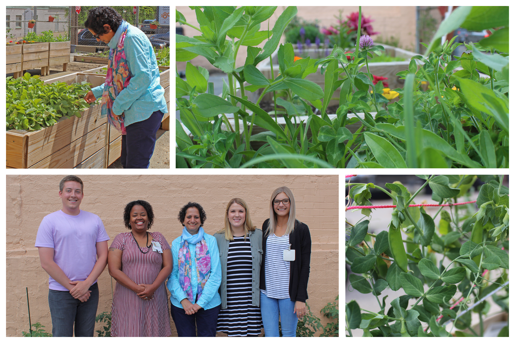 Mindfulness Garden Picture Collage