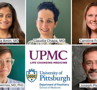 Drs. Amin, Chapa, Franke, Moschenross, and Pierri Honored with UPMC Awards